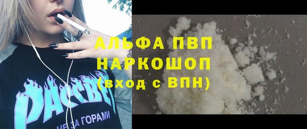 прущие грибы Абаза