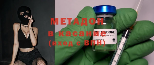 прущие грибы Абаза