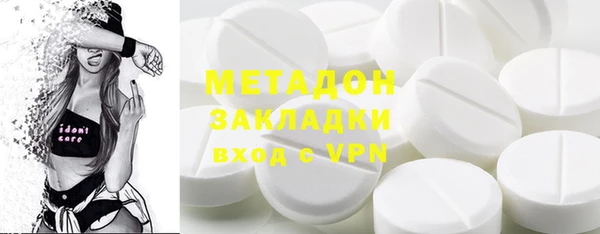 прущие грибы Абаза