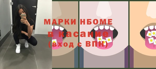 прущие грибы Абаза