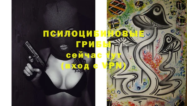 гидропоника Нефтекумск