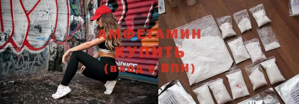 прущие грибы Абаза
