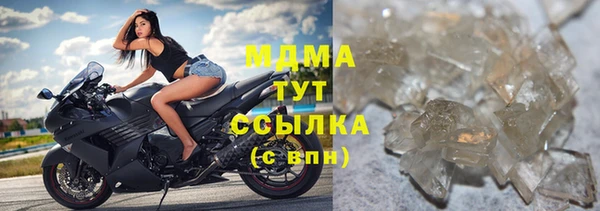 прущие грибы Абаза